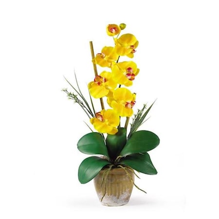 Nearly Natural Single Stem Phalaenopsis Silk Orchid Arrangement 1016-GY